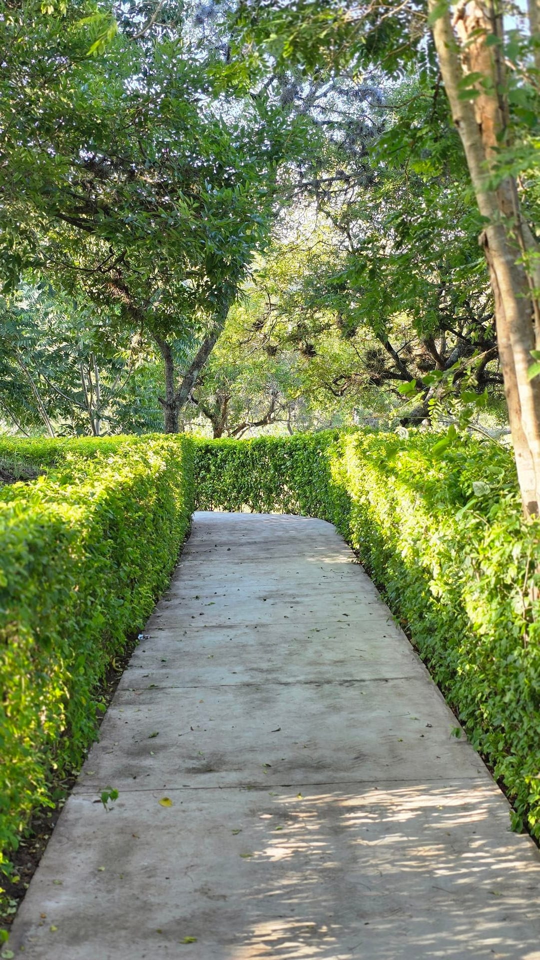 Ciudad Venecia Danlí